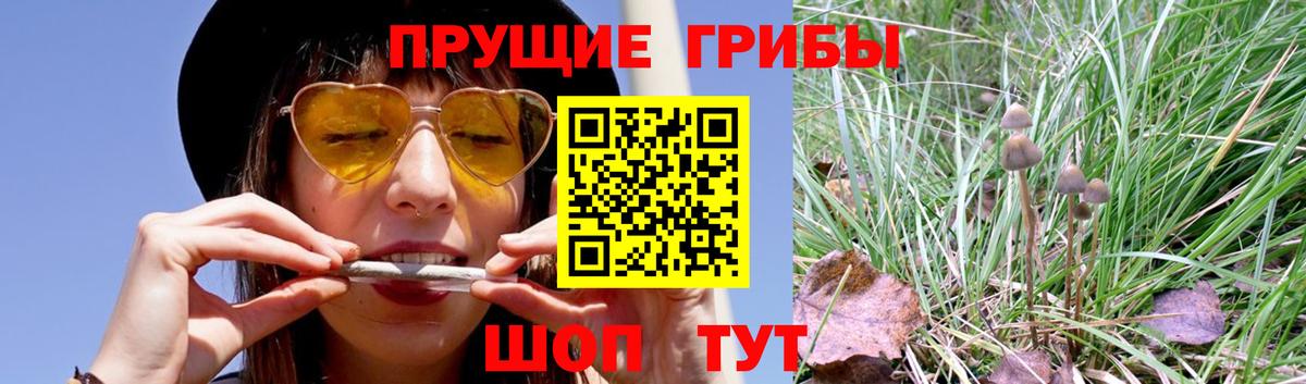 Псилоцибиновые грибы GOLDEN TEACHER  Вход с VPN  Жуковский 